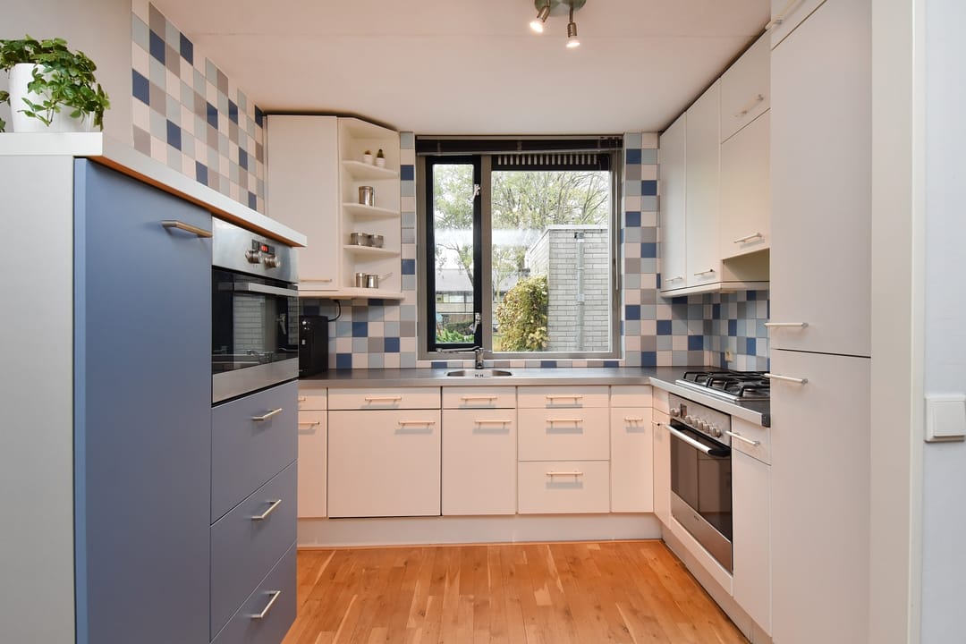 Foto 16 van de Zwaan 36