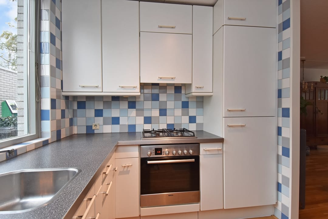 Foto 17 van de Zwaan 36