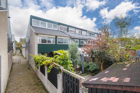 undefined main image