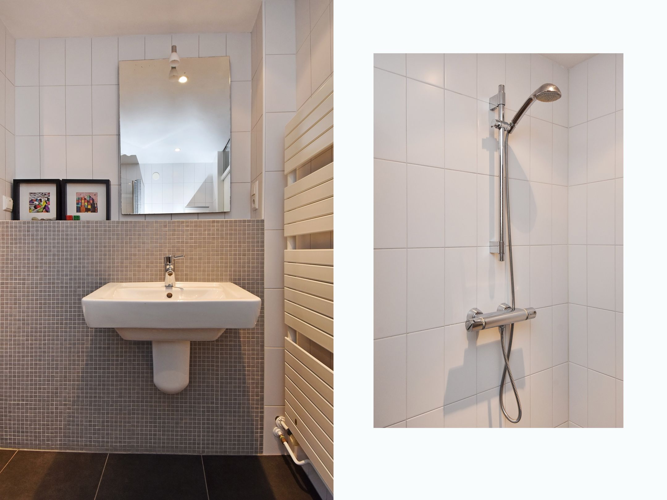 Foto 27 van de Zwaan 36