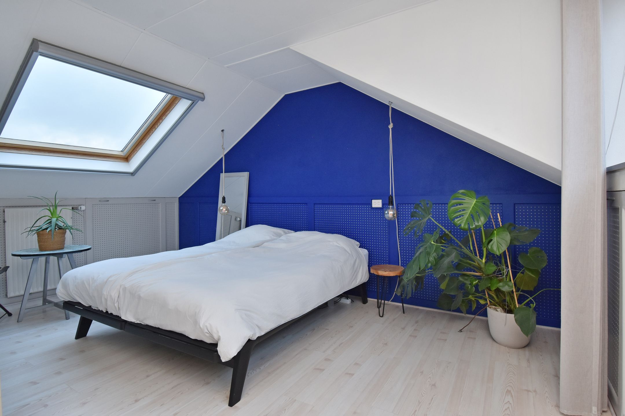 Foto 30 van de Zwaan 36