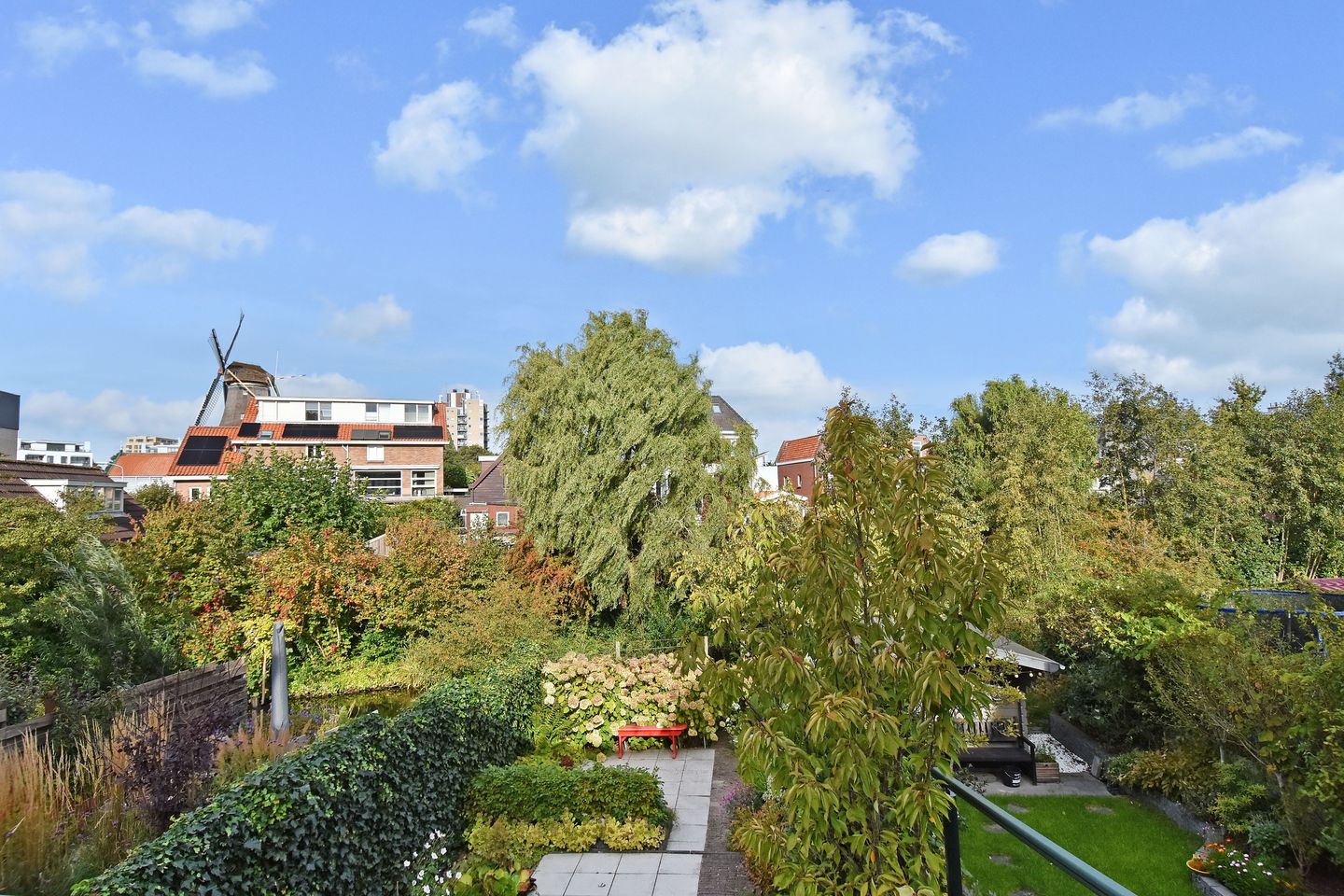 Foto 34 van de Zwaan 36