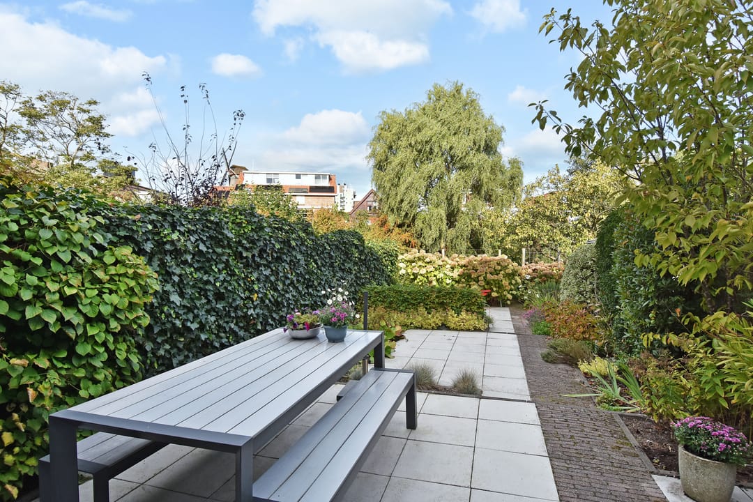 Foto 37 van de Zwaan 36