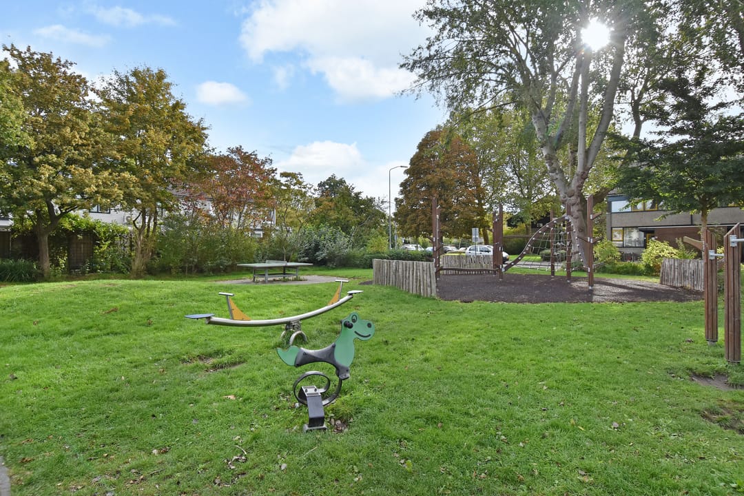 Foto 38 van de Zwaan 36