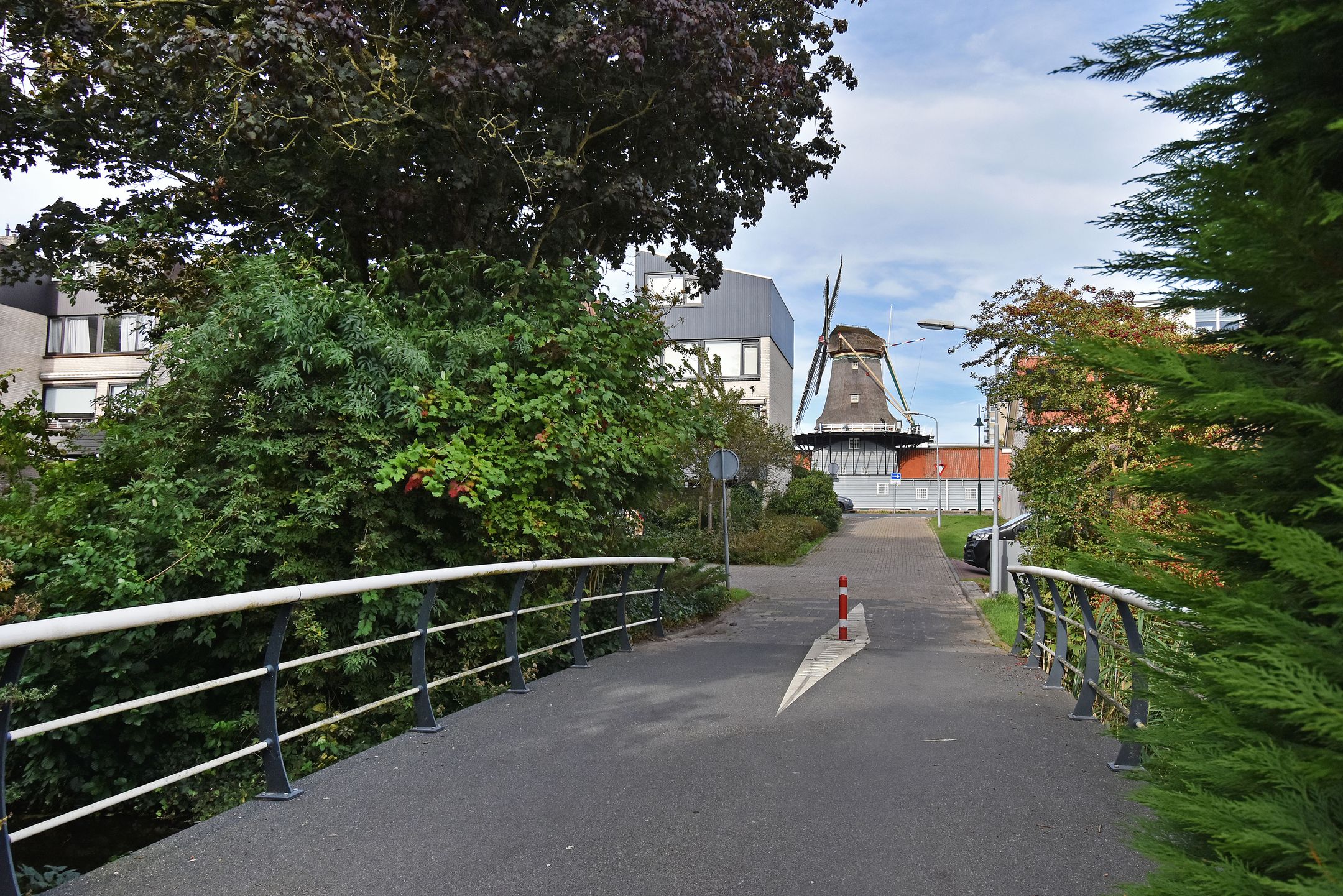 Foto 39 van de Zwaan 36