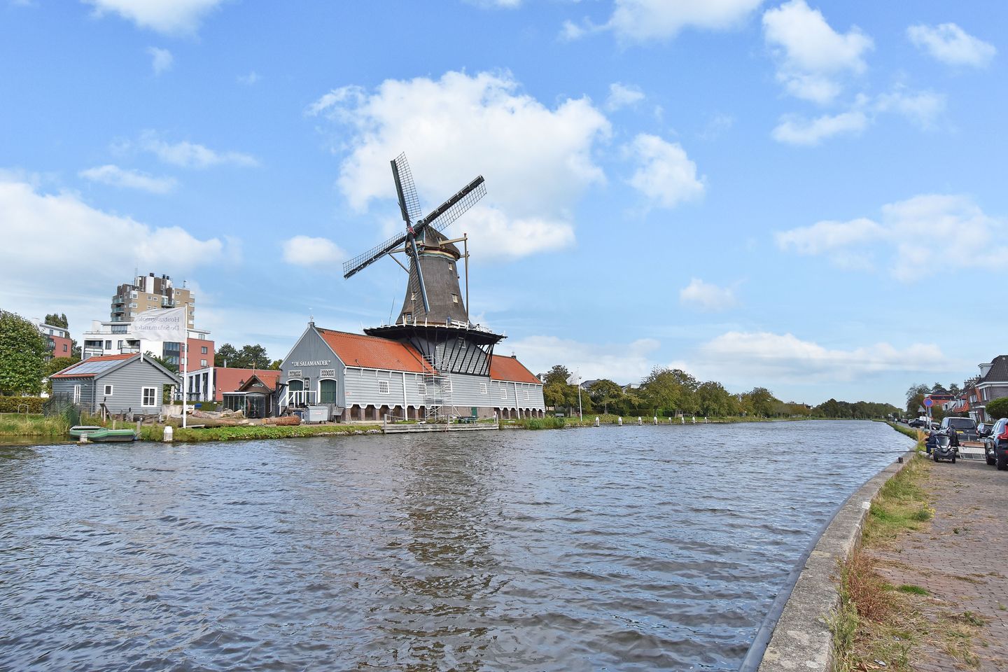 Foto 40 van de Zwaan 36