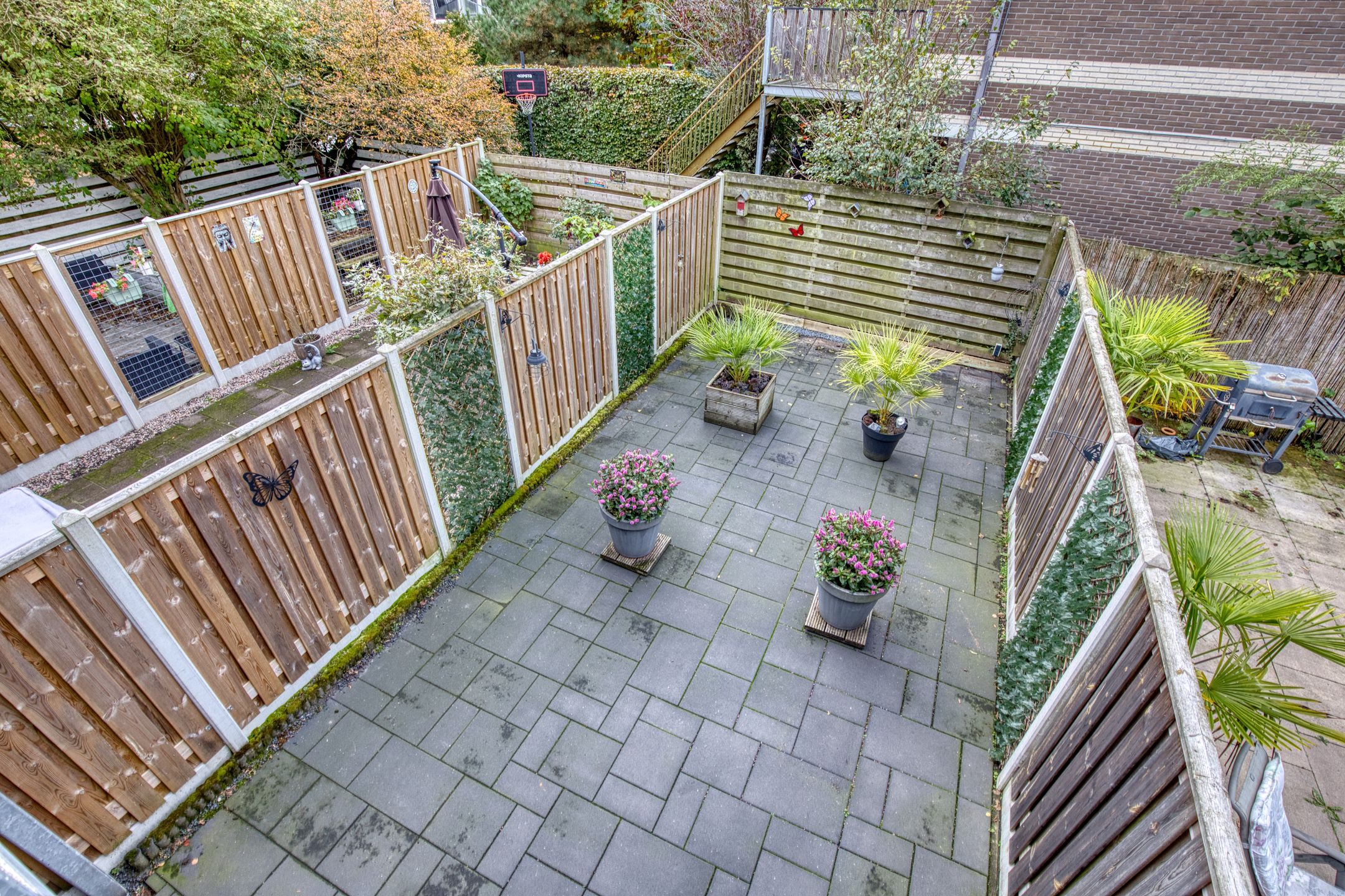 Foto 21 van Socratesstraat 258