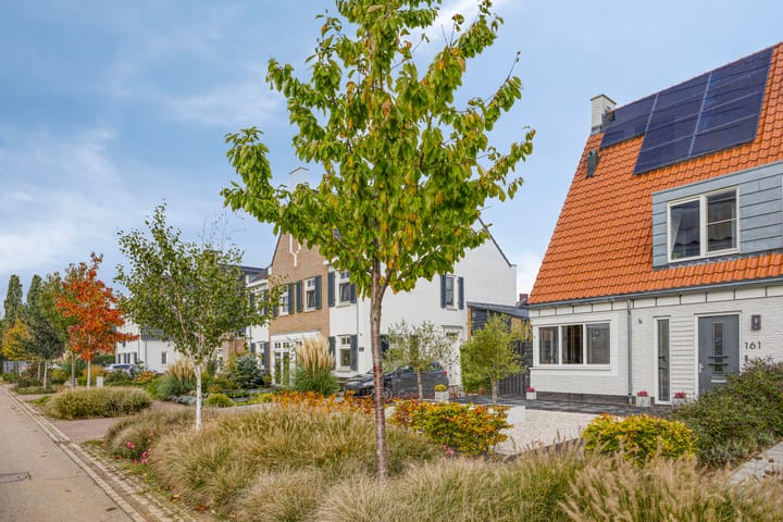 Foto 3 van Huurlingsedam 161