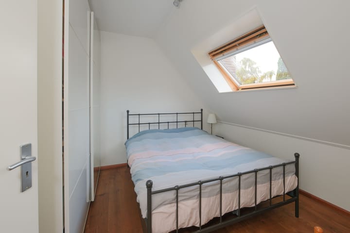 Foto 10 van Lisdodde 2