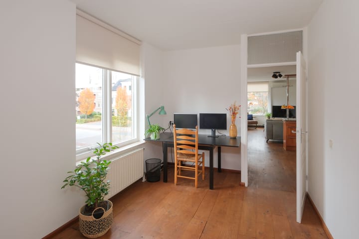 Foto 12 van Lisdodde 2