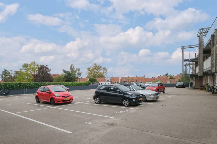 Foto 18 van Lisdodde 2