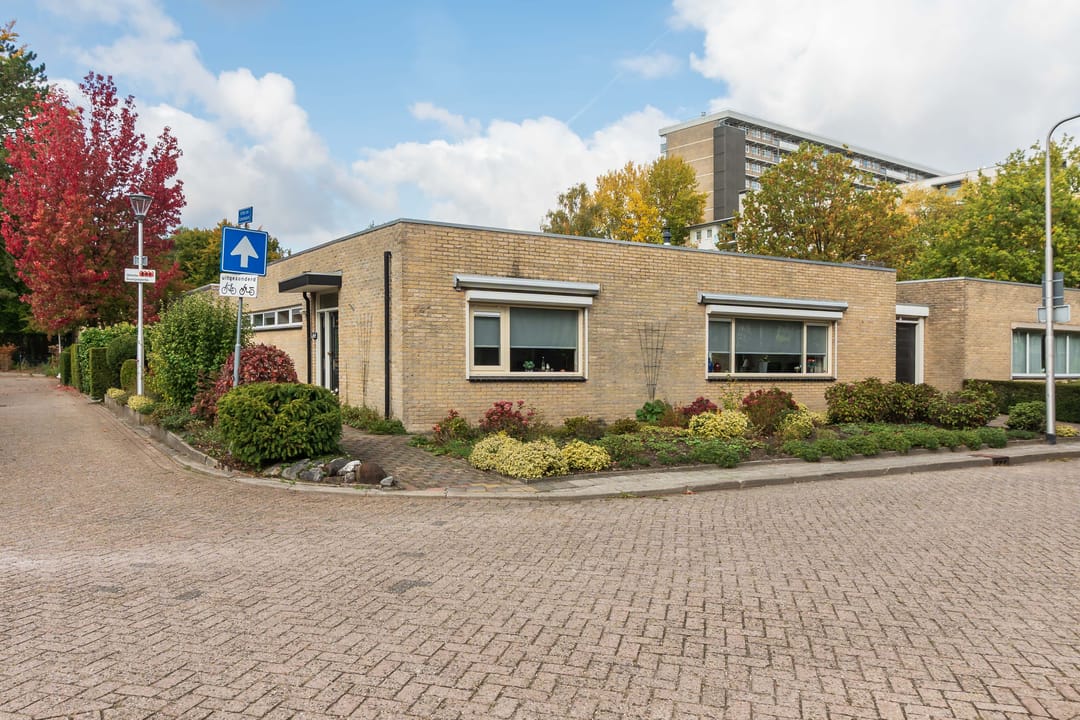 Photo 1 of Arthur van Schendelpark 1
