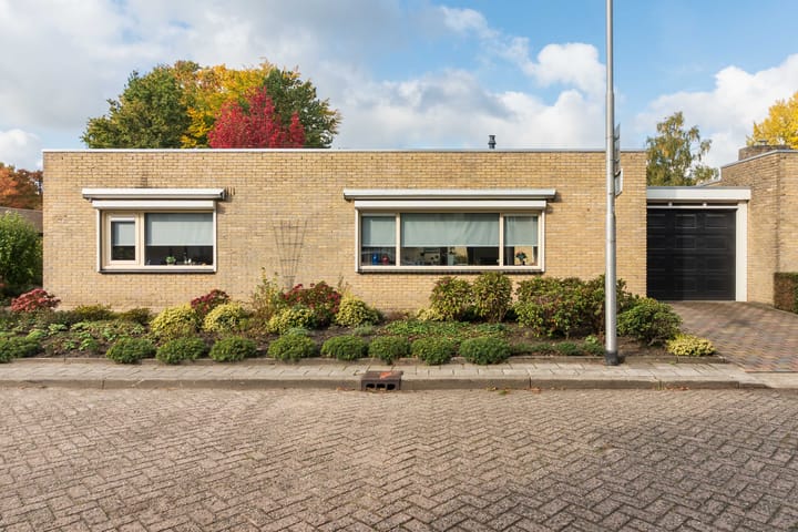 Foto 5 van Arthur van Schendelpark 1