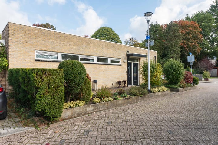 Foto 6 van Arthur van Schendelpark 1