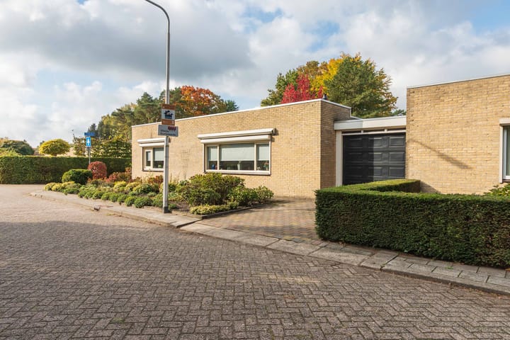 Foto 34 van Arthur van Schendelpark 1