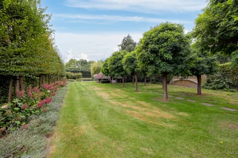 Wolput 83-A tertiary image