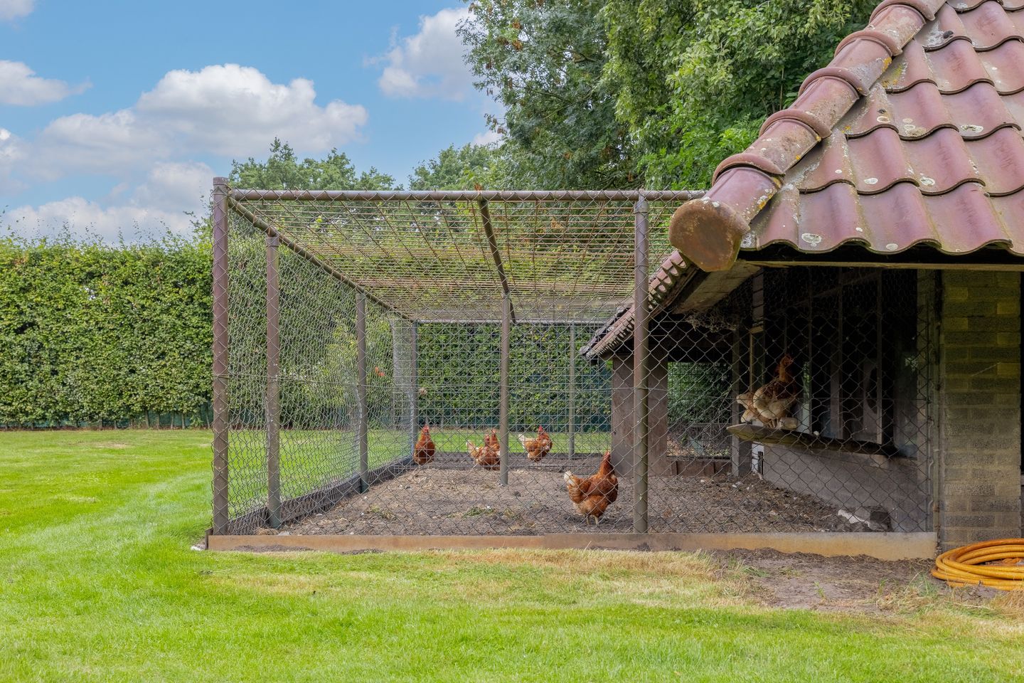 Foto 50 van Wolput 83-A