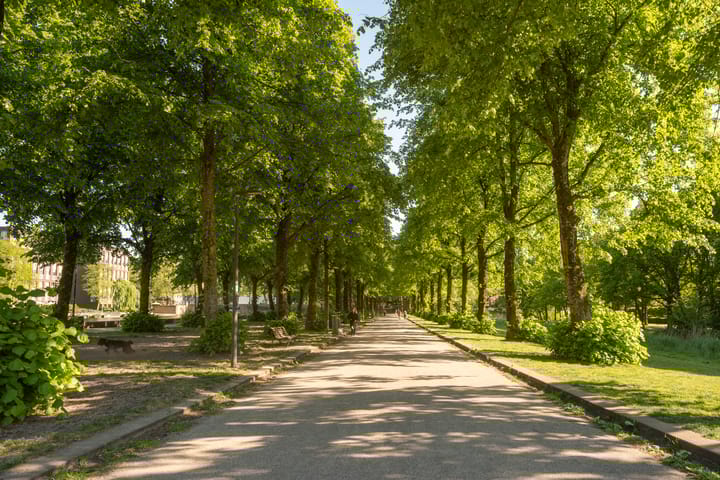 Photo 26 of Bestevâerstraat 187-4