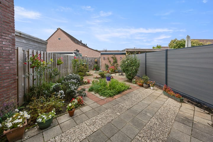 Foto 35 van de Bongerd 20