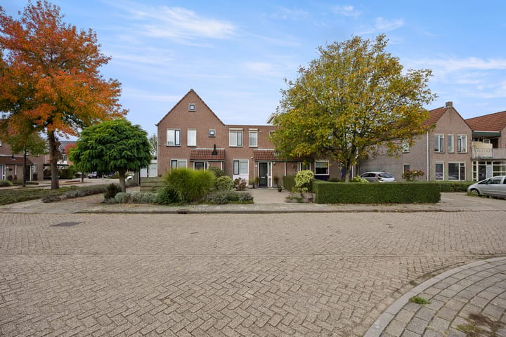 Foto 38 van de Bongerd 20