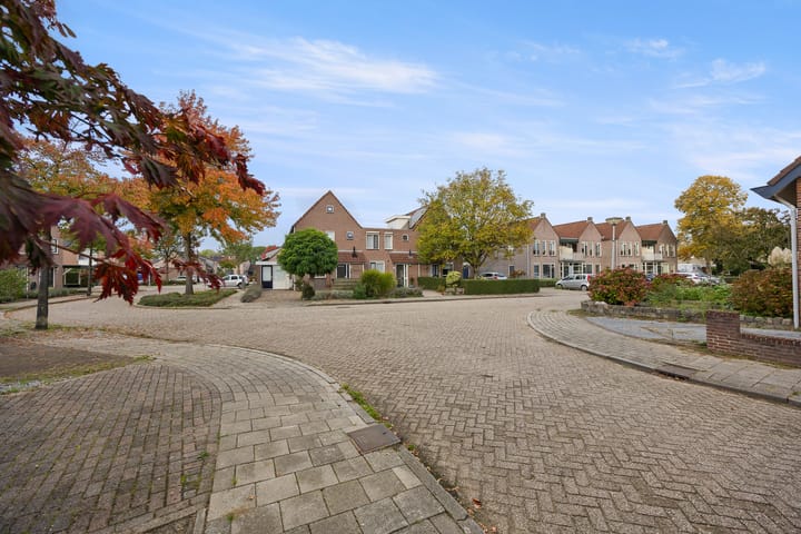 Foto 40 van de Bongerd 20