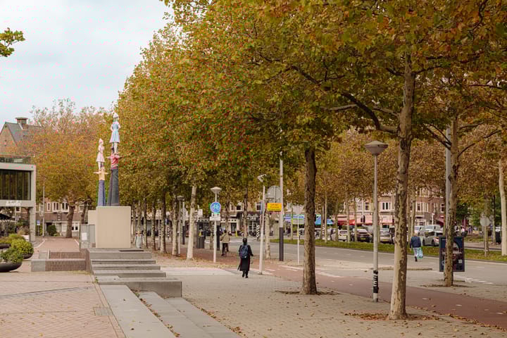 Foto 38 van Geleenstraat 40-H