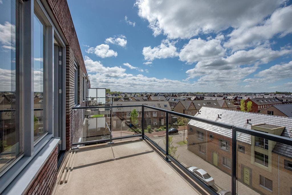 Photo 10 of Vossenzoom 75