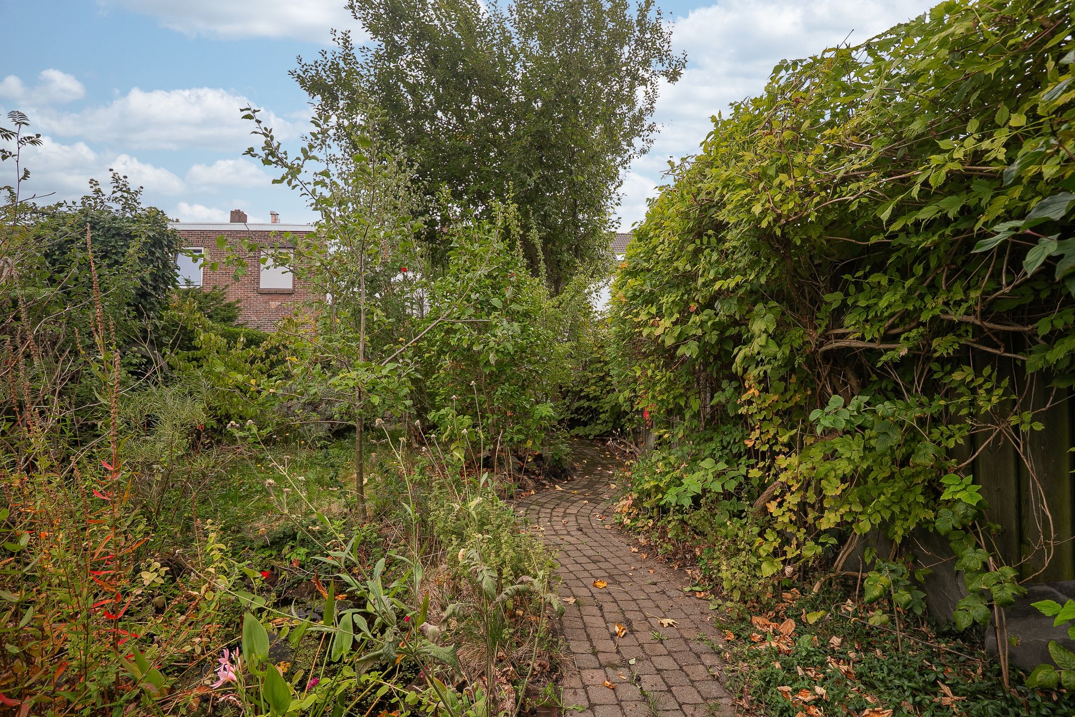 Foto 33 van Schaesbergerweg 85