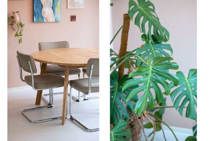 Foto 8 van Beverweg 8-B