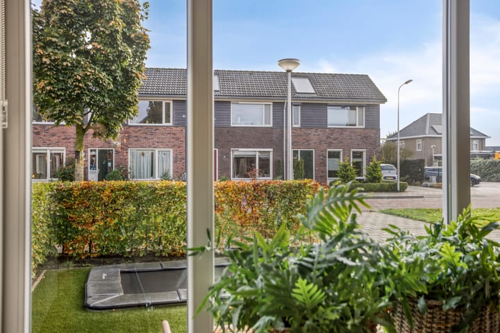 Foto 9 van Vlasakker 11