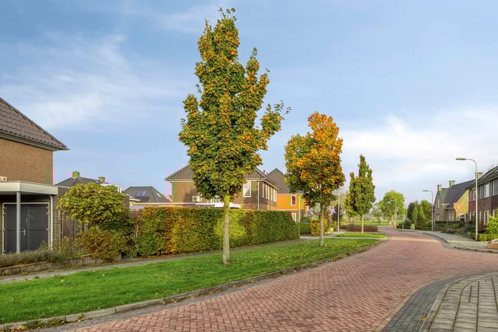 Foto 40 van Vlasakker 11