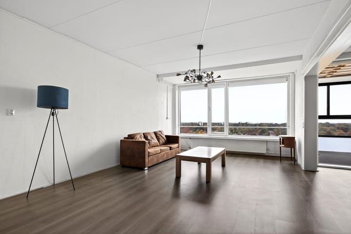 Foto 6 van Loolaan 41-154