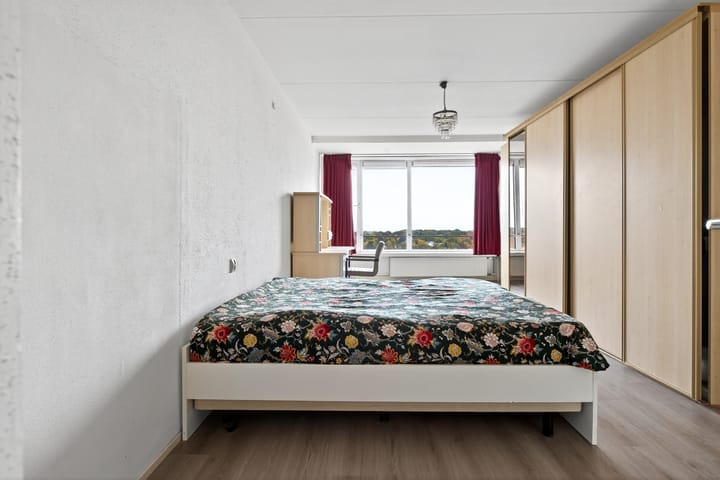 Foto 14 van Loolaan 41-154