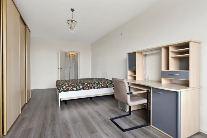 Foto 15 van Loolaan 41-154