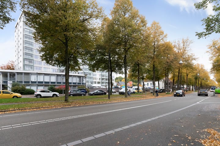 Foto 19 van Loolaan 41-154