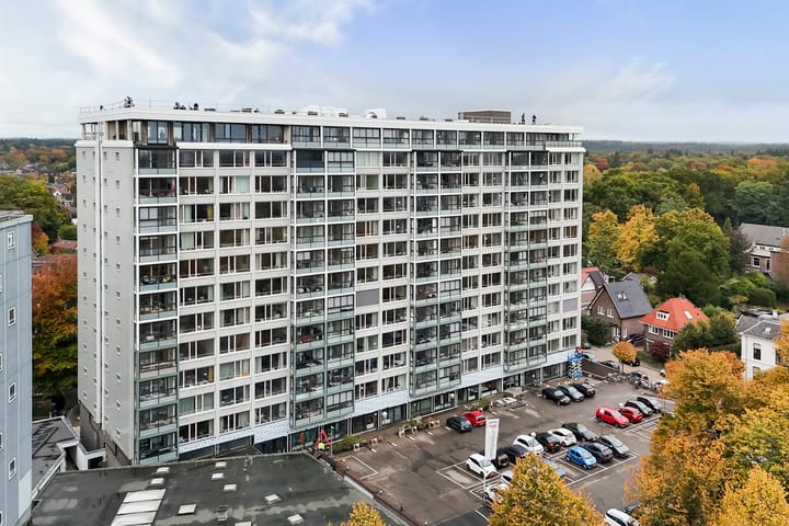 Foto 21 van Loolaan 41-154