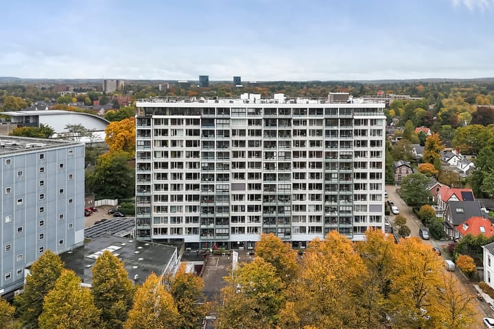 Foto 22 van Loolaan 41-154