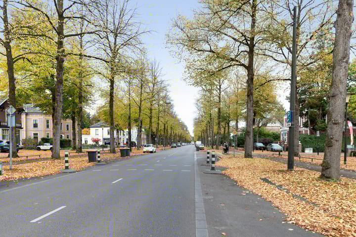 Foto 26 van Loolaan 41-154