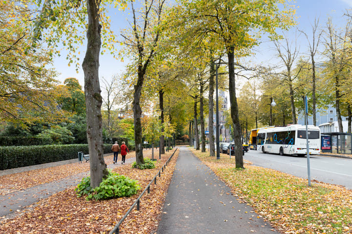 Foto 27 van Loolaan 41-154