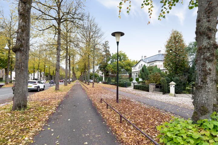 Foto 29 van Loolaan 41-154