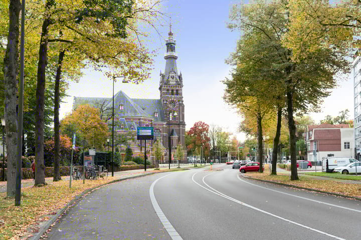 Foto 31 van Loolaan 41-154