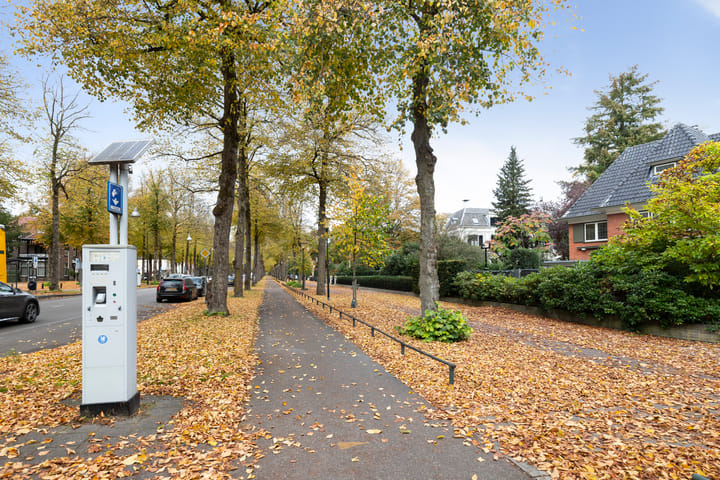 Foto 32 van Loolaan 41-154