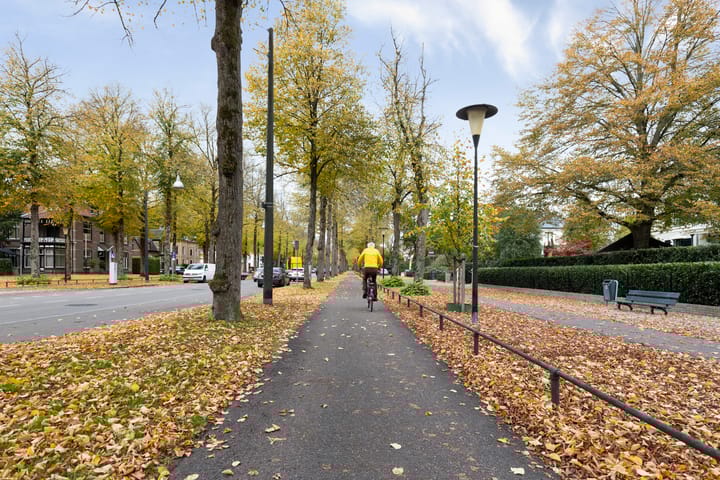 Foto 33 van Loolaan 41-154