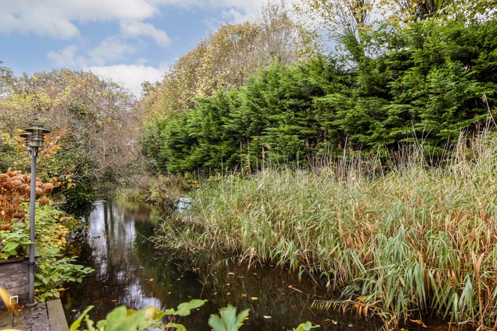 Foto 11 van Constantijnlaan 8