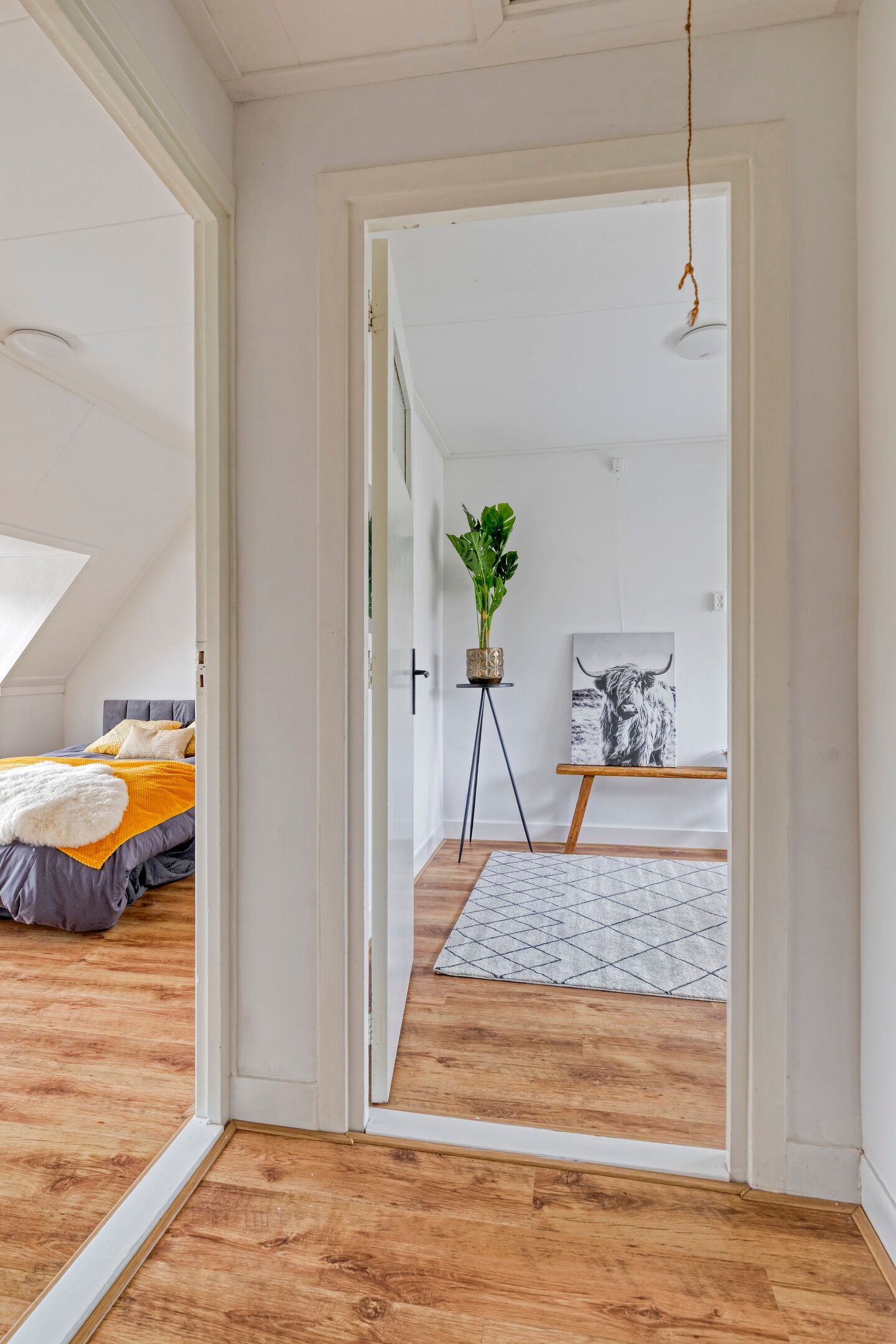 Foto 19 van Padangstraat 59-A