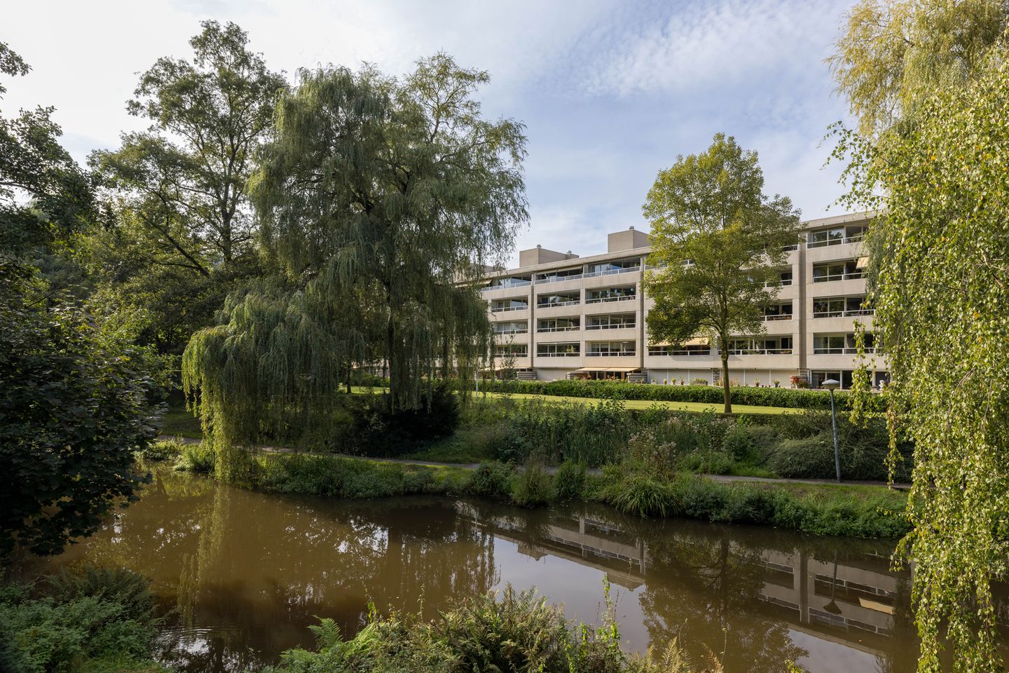 Foto 1 van Groot Paradijs 97