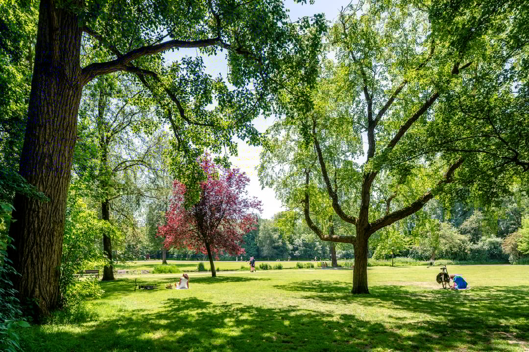 Foto 43 van Valeriusstraat 39-2