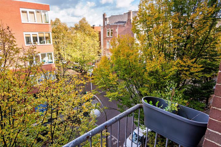 Foto 10 van Pretoriusstraat 19-D