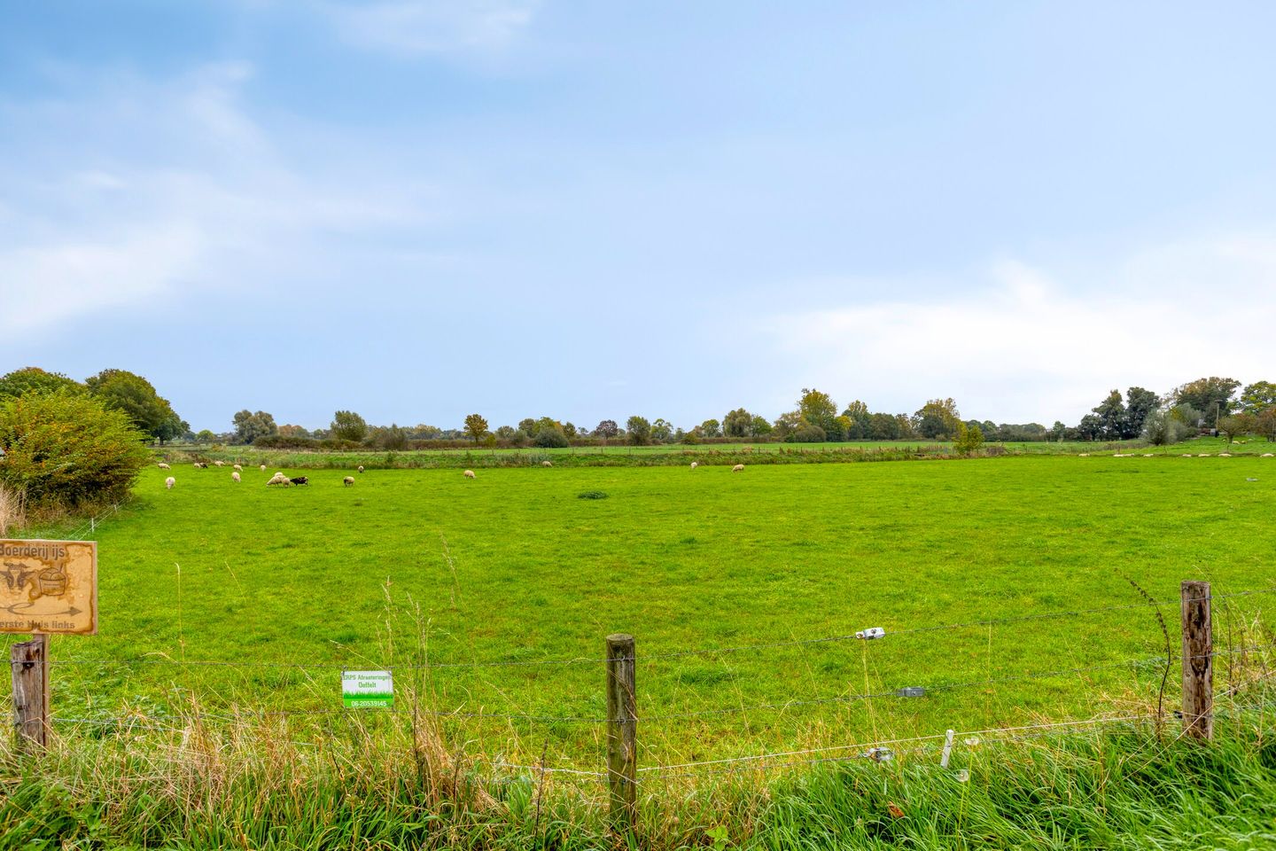 Photo 49 of Schilderstraat 11