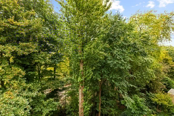 Photo 30 of Zocherstraat 23-X